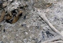 کشف بنای ۱۸۰۰ ساله در زیر متروی رم