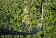 افتتاح طولانی ترین پل معلق جهان در آلمان