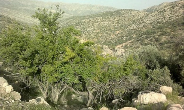 کوه برز و منطقه سیاهچال فیروزآباد