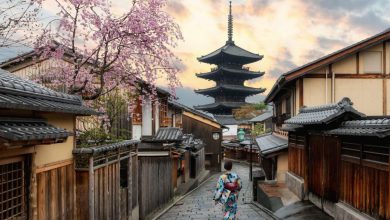 با خرید تور ژاپن سفری رویایی داشته باشید